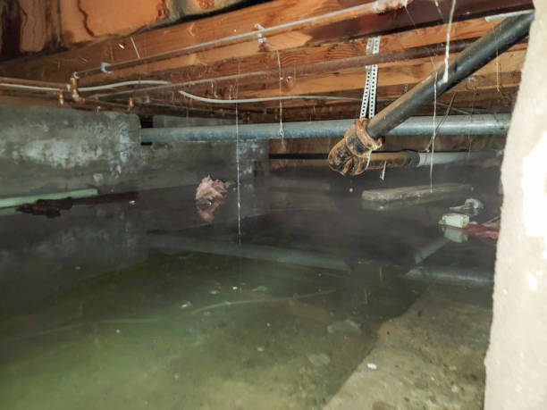Local water damage restoration in Hartley, CA