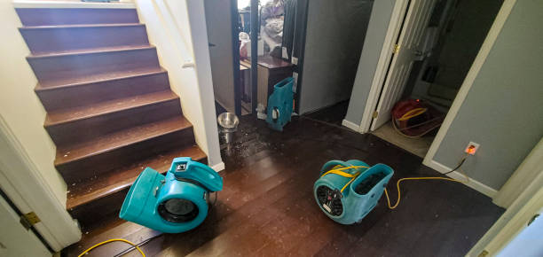 Best Water damage restoration cost  in Hartley, CA