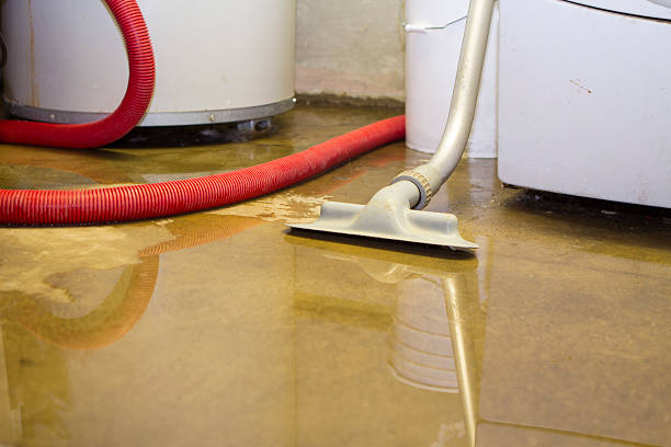 Best Professional water damage repair  in Hartley, CA