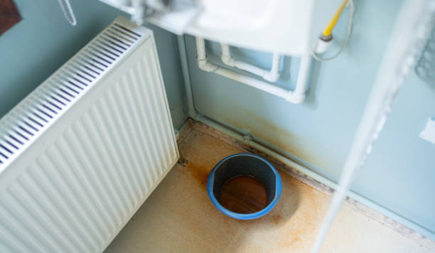 Best Water damage cleanup near me  in Hartley, CA